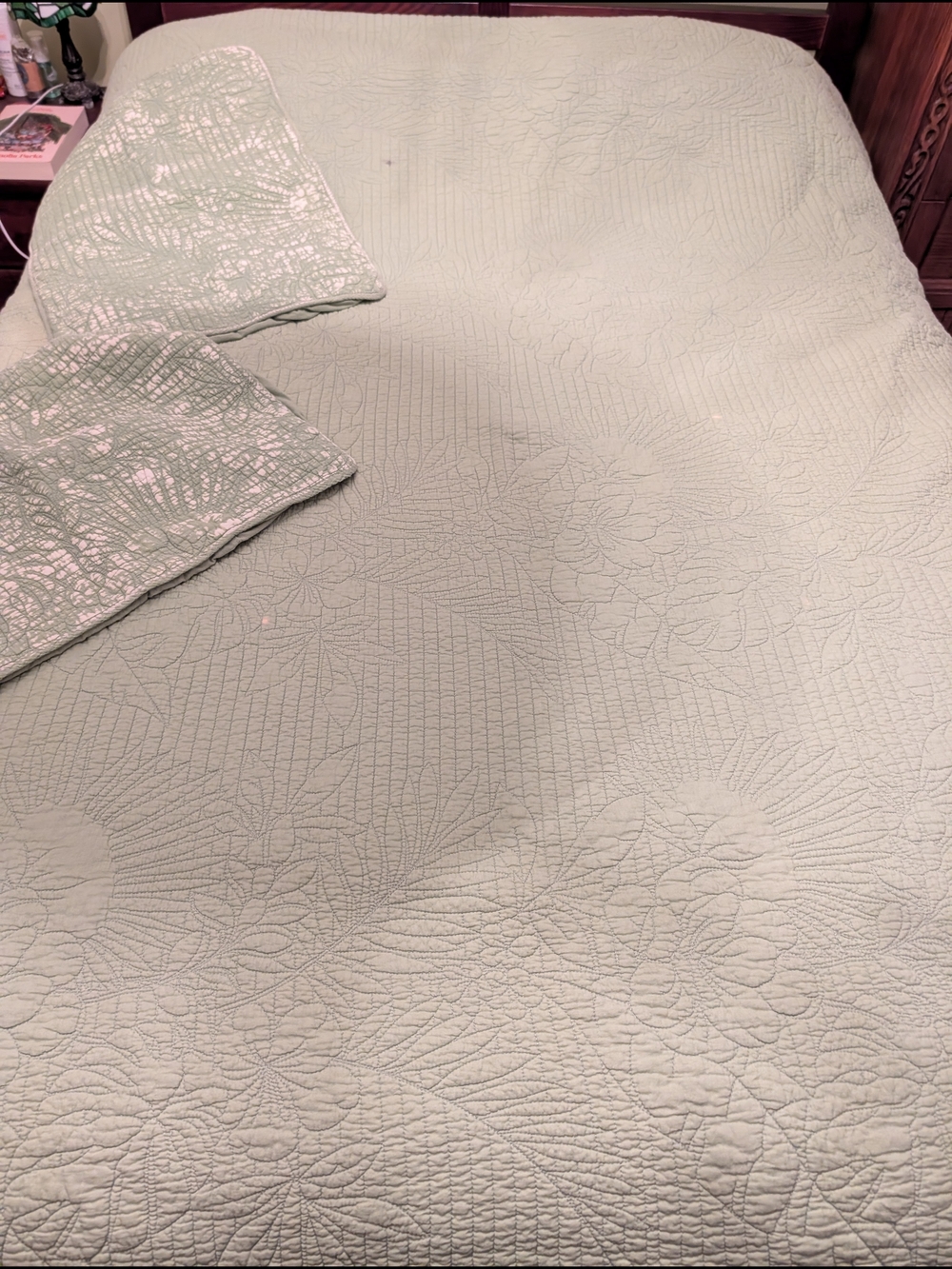 Light Green Quilted Floral Coverlet - Soft Bedspread
